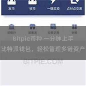 Bitpie币种 一分钟上手比特派钱包，轻松管理多链资产