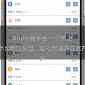 Bitpie跨平台 一分钟上手比特派钱包，轻松管理多链资产