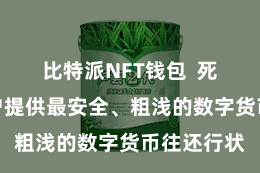 比特派NFT钱包  死力于为用户提供最安全、粗浅的数字货币往还行状