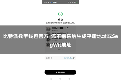 比特派数字钱包官方  您不错采纳生成平庸地址或SegWit地址