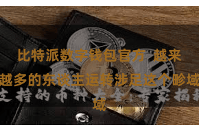 比特派数字钱包官方  越来越多的东谈主运转涉足这个畛域